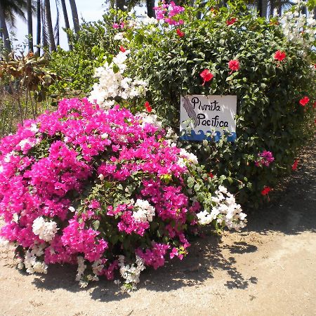 Apartmán Plumita Pacifica Playa Junquillal Exteriér fotografie