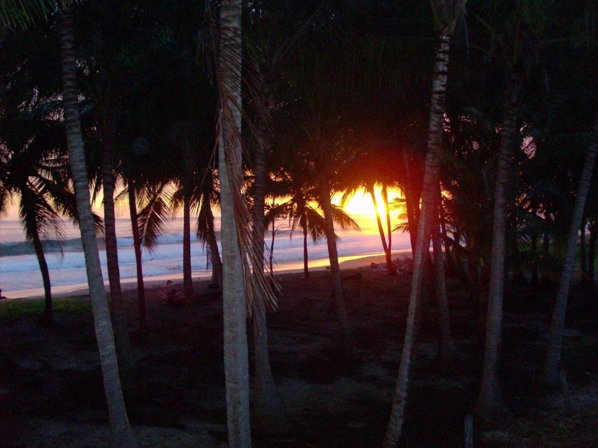 Apartmán Plumita Pacifica Playa Junquillal Exteriér fotografie