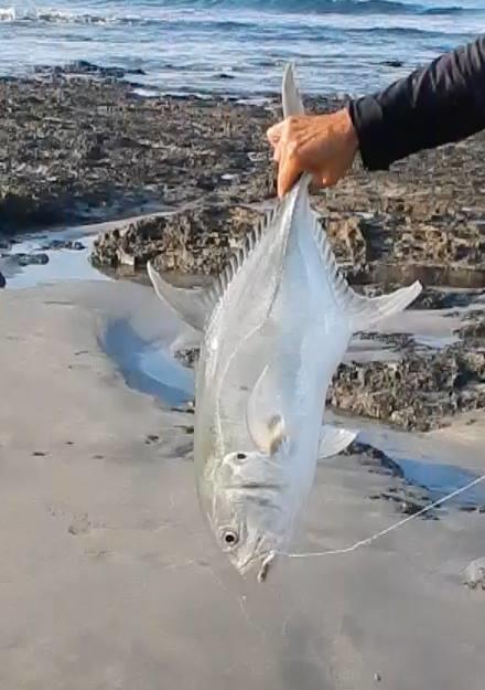 Apartmán Plumita Pacifica Playa Junquillal Exteriér fotografie