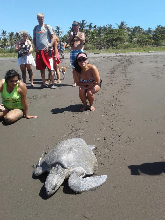 Apartmán Plumita Pacifica Playa Junquillal Exteriér fotografie