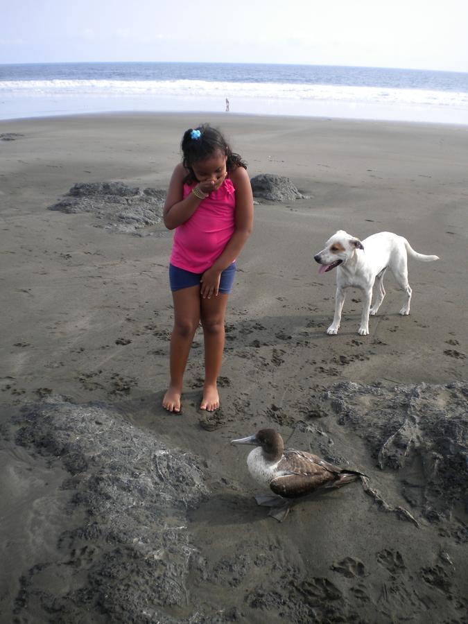 Apartmán Plumita Pacifica Playa Junquillal Exteriér fotografie