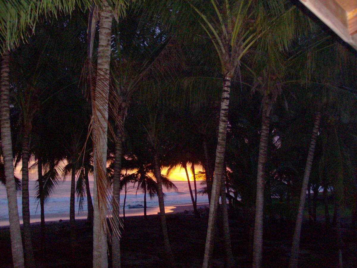 Apartmán Plumita Pacifica Playa Junquillal Exteriér fotografie