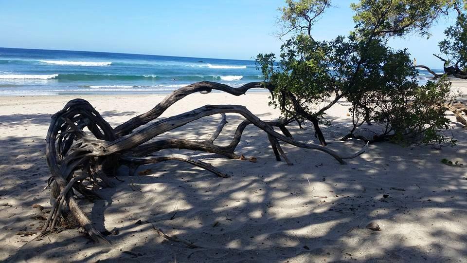 Apartmán Plumita Pacifica Playa Junquillal Exteriér fotografie